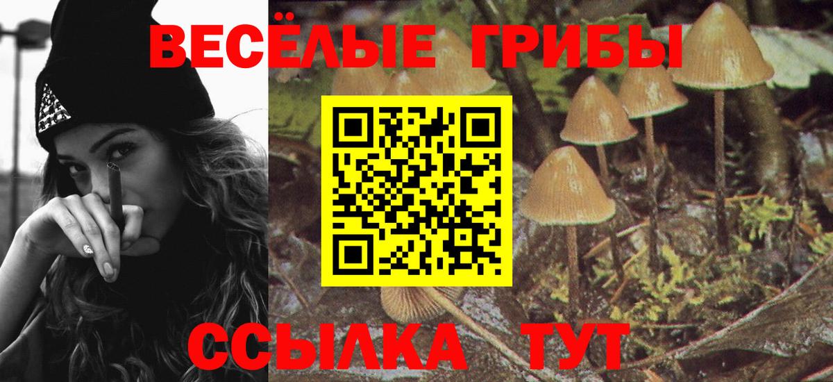 Богданович  Галлюциногенные грибы GOLDEN TEACHER  закладка  Вход с VPN  Галлюциногенные грибы прущие грибы 